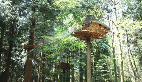 Tree House (2 Adults)