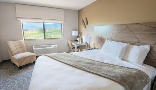 Single Room - Disability Access