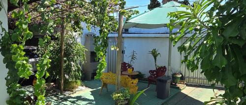 Studio with Garden View
