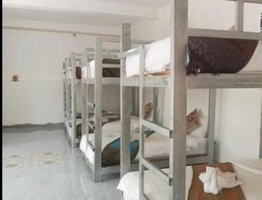 Bunk Bed in Mixed Dormitory Room