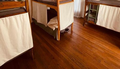Bed in 8-Bed Dormitory Room