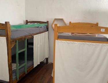 Bed in 6-Bed Dormitory Room