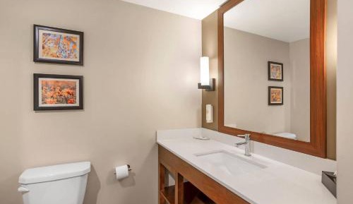 One-Bedroom King Suite - Non-Smoking