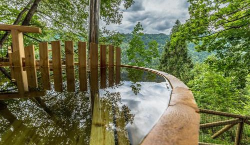 Special Offer - Tree House with Glamping Package