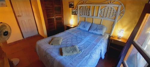 Studio with Garden View