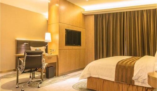 Finance King Room