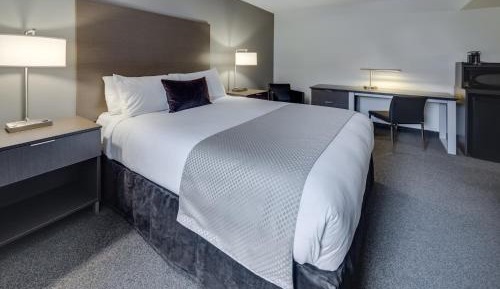 Premier Queen Room
