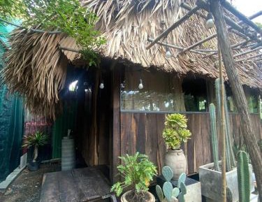 Deluxe Bungalow with Garden View