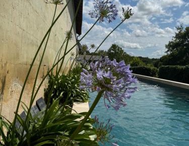 Deluxe One-Bedroom Apartment with Garden View