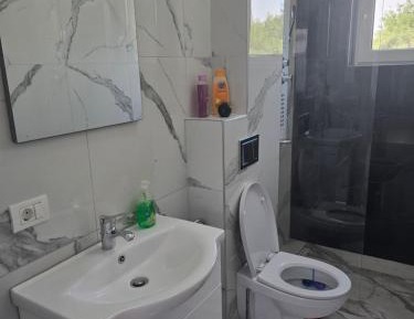 Deluxe One-Bedroom Apartment