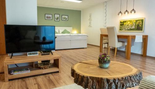 Studio Apartment with King Bed
