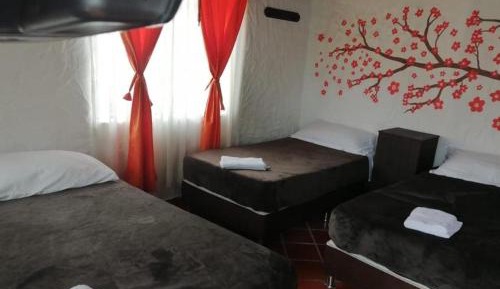 Premium Quadruple Room