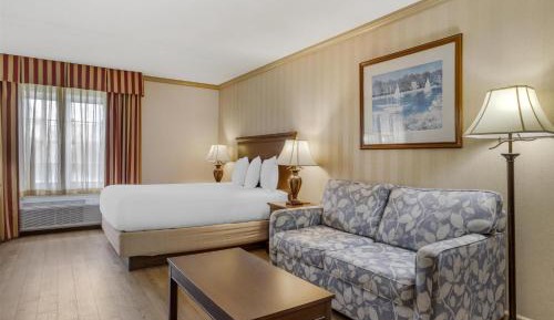 Queen Studio Suite with Sofa Bed