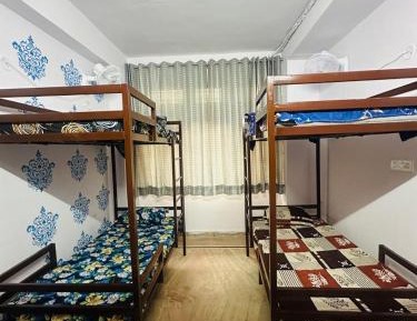 4-Bed Mixed Dormitory Room