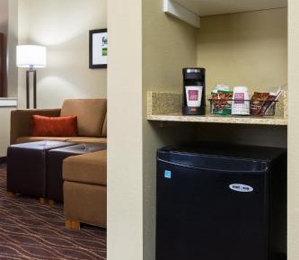 Standard King Suite with Sofa Bed - Non-Smoking