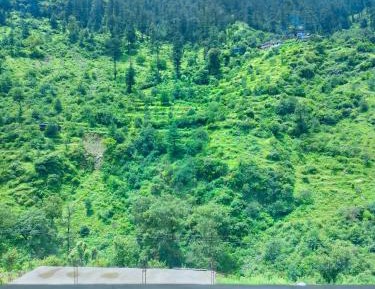 Double Room with Mountain View