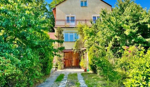 One-Bedroom Apartment with Garden