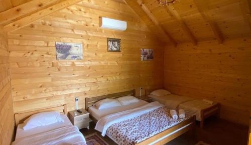 Basic Triple Room