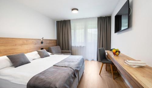 Superior Double or Twin Room with Mountain View