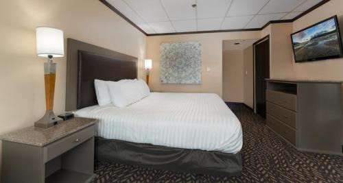 King Suite with Ocean View