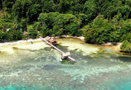 Twin Room with Sea View