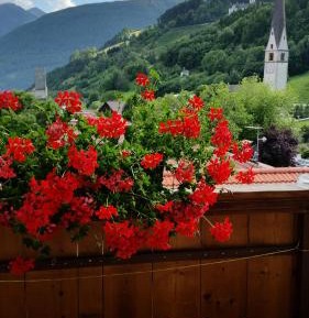 Single Room with Mountain View