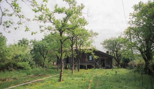 One-Bedroom House