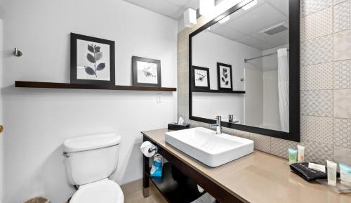 Deluxe King Suite