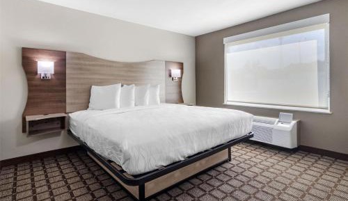One-Bedroom King Suite with Sofa Bed - Non-Smoking