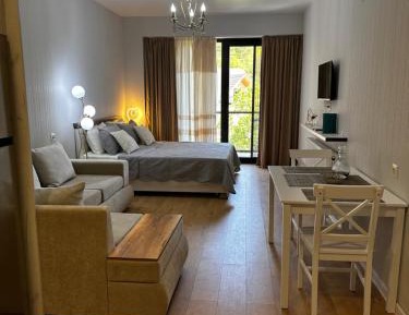 One-Bedroom Apartment with Balcony and Mountain View  