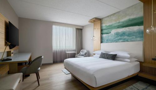 King Room with Roll-in Shower - Mobility Accessible