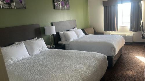 Superior Queen Room with Two Queen Beds - Non-Smoking