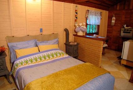 Standard Suite 4