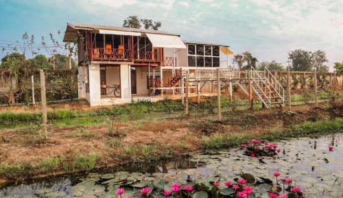 4-Bed Mixed Dormitory Room