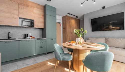 Deluxe One-Bedroom Apartment