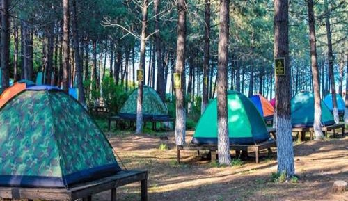 Tent