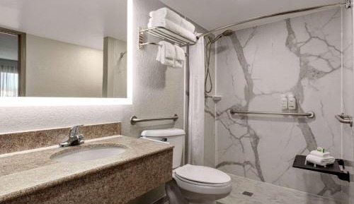 King Room with Mobility/Hearing Access and Roll-In Shower, Non-Smoking