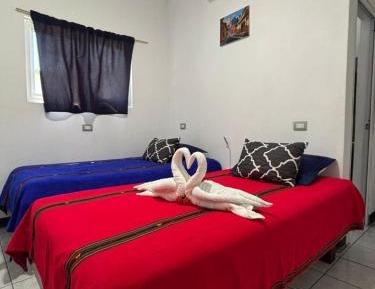 Twin Room with Private Bathroom