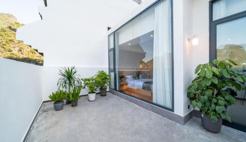 Suite with Terrace