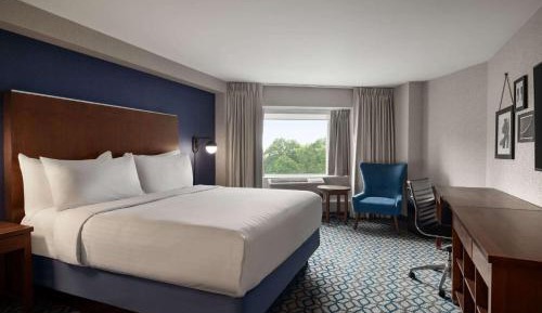 Standard, 1 King Bed, Non-Smoking