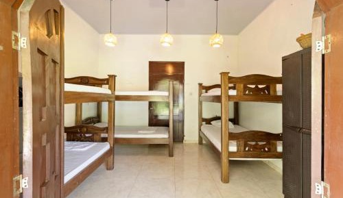 Single Bed in 6-Bed Dormitory Room