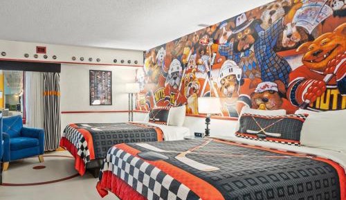 Queen Room Hockey Theme Non-Smoking