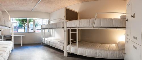 Bed in 6-Bed Female Dormitory Room