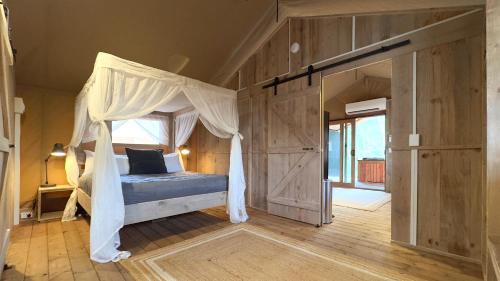 Superb Safari Tent