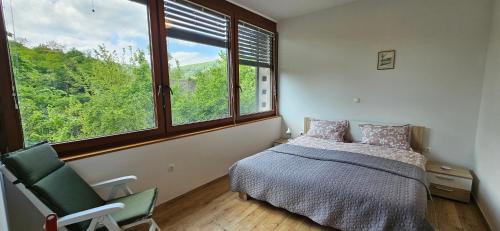 Studio with Garden View