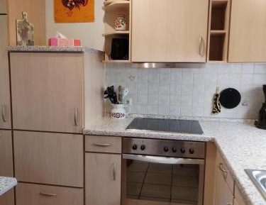 Comfort Apartment with Mountain View 