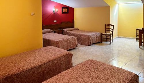 Bed in 4-Bed Mixed Dormitory Room