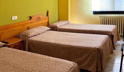 Bed in 4-Bed Mixed Dormitory Room