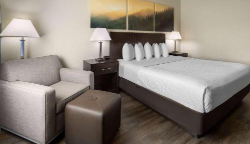 King Room with Roll-in Shower - Mobility Access/Non-Smoking