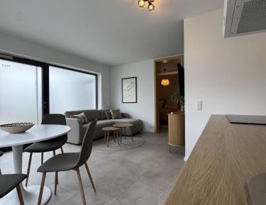 Deluxe One-Bedroom Apartment